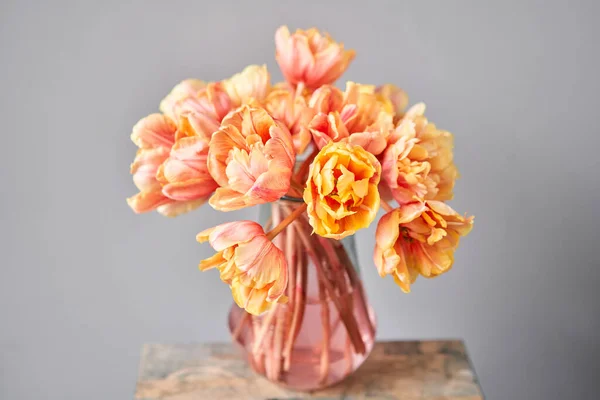 Beautiful orange and with red streaks tulips in vase. Flower background. Floral Wallpaper. Copy space — Stock Photo, Image