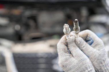 Old and new spark plugs. Comparing spark plugs the maintenance of the engine, on the hands of a mechanic. clipart
