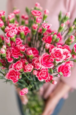 Kadının elinde pembe sprey karanfil yaprakları. Sıra dışı çiçekler, dianthus. Bahar çiçeği deseni