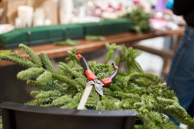 Spruce şubelerinde yakın çevreci. Noel düzenlemesi. Dekoratif süsler konusunda yüksek lisans. Noel dekorunu kendi elleriyle yaptılar. Yeni yıl kutlaması. Çiçekçi