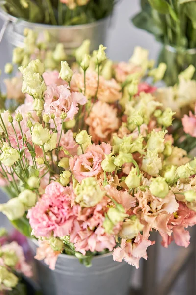 Bando de flores diferentes variedades eustoma em vasos. Encantador fundo Vintage com flores. Papéis de parede — Fotografia de Stock