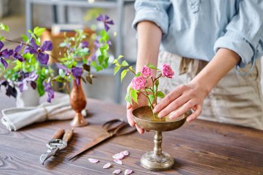 Genç bir çiçekçi kadın Kenzan 'da İkebana' da çiçek aranjmanı yapıyor. Makas ve budama makinesi kullanıyor. Mevsimlik yaz bahçesi çiçekleri.