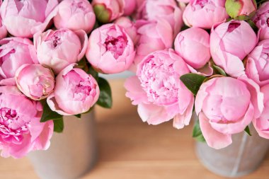 Metal vazoda pembe melek yanakları şakayıklar. Katalog ya da internet mağazası için güzel şakayık çiçekleri. Çiçek dükkanı konsepti. Taze kesilmiş güzel bir buket. Çiçek teslimatı