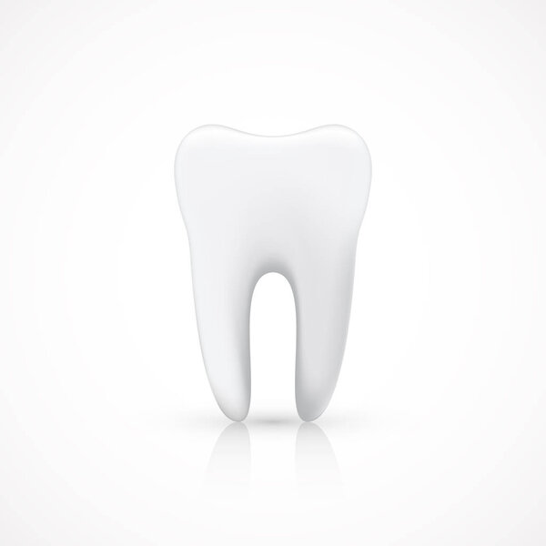 Healthy Tooth Isolated on White