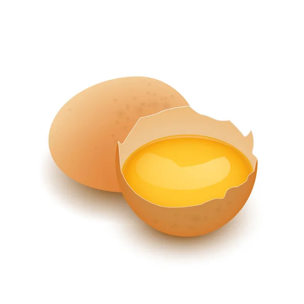 Целое яйцо и сломанная яичная скорлупа с желтком — стоковый вектор
