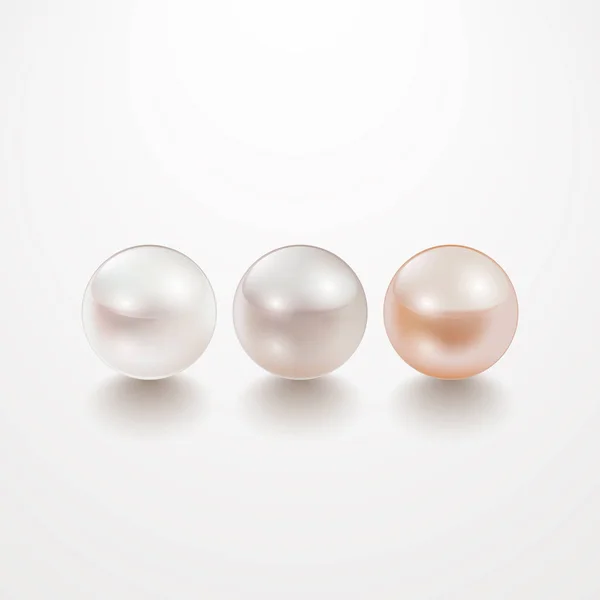 現実的なベクトルの白い真珠セット — ストックベクタ