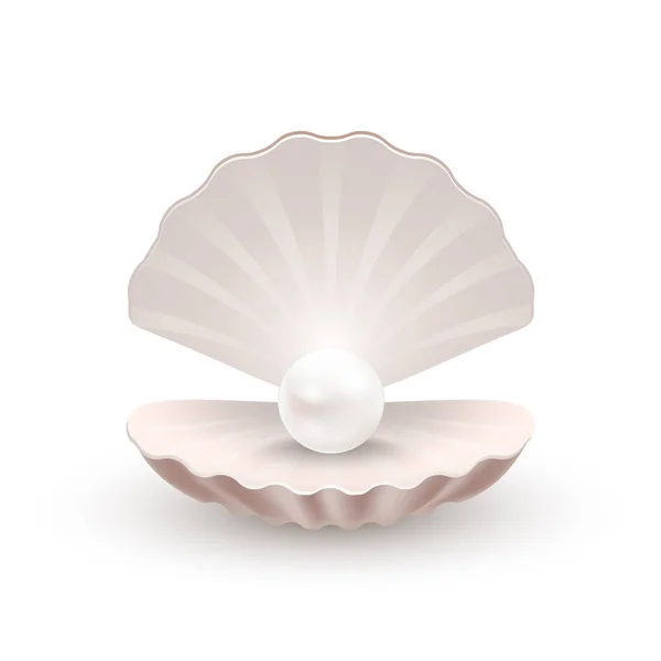 Concha con perla en el interior, aislada en blanco — Vector de stock