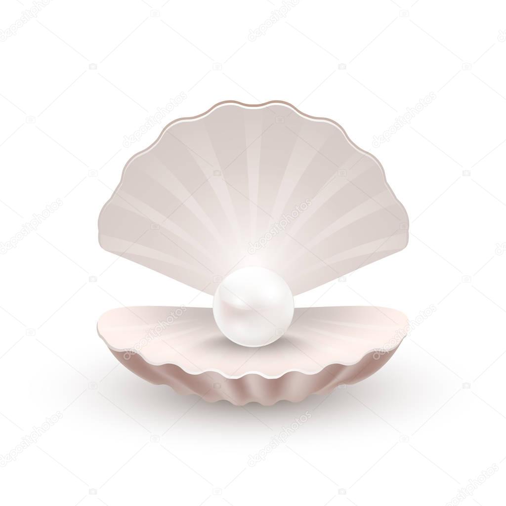 Shell with pearl inside, isolated on white