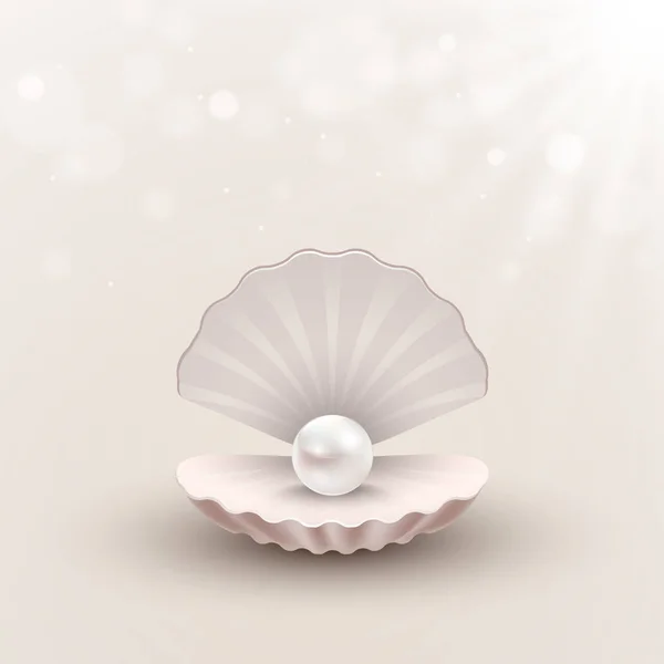 Shell with pearl inside on abstract background — Stock Vector