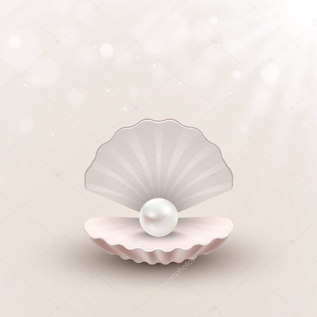 Shell with pearl inside on abstract background