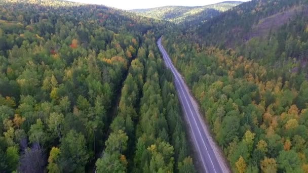 Video drone Flygfoto över vägen i skogen på väg till Bajkalsjön — Stockvideo