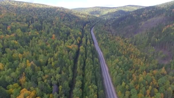 Відео drone пташиного польоту над дороги в лісі на шляху до озера Байкал — стокове відео