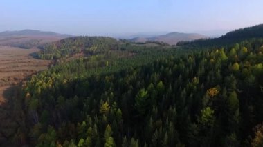 Hava View yolu iğne yapraklı orman üzerinde Deniz Baykal, Buryatia, Rusya Federasyonu
