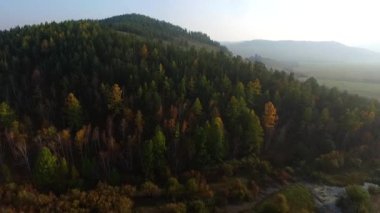 Hava View yolu iğne yapraklı orman üzerinde Deniz Baykal, Buryatia, Rusya Federasyonu