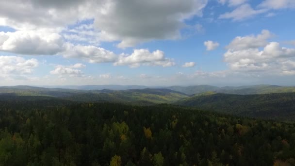 Antenowe widok drogi w lesie drzew iglastych na jeziorze Bajkał, Buriacji, Federacja Rosyjska — Wideo stockowe