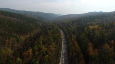 Deniz Baykal giderken yolun ormanın içinde üzerinde video dron havadan görünümü