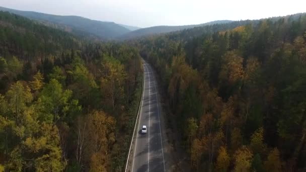 Εναέρια άποψη βίντεο κηφήνας πάνω από το δρόμο στο δάσος, στο δρόμο προς τη λίμνη Βαϊκάλη — Αρχείο Βίντεο