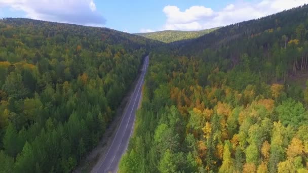 Video vista aérea del dron sobre la carretera en el bosque en el camino al lago Baikal — Vídeo de stock