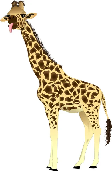 Girafe avec langue qui sort — Image vectorielle