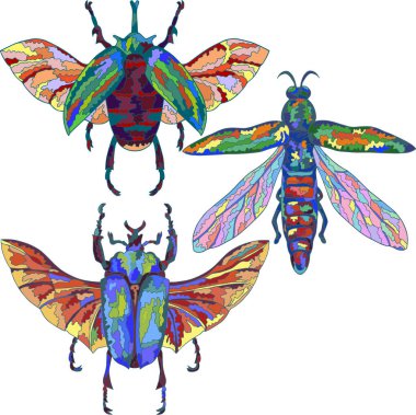 Egzotik böcek ve sinek ayarlayın. Vektör çizim