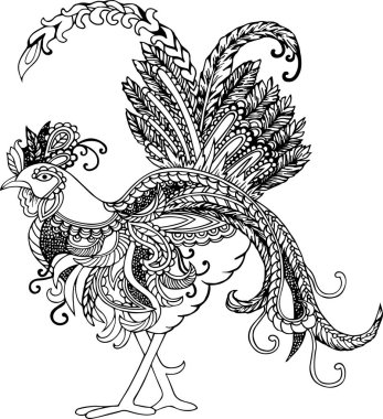 Elle çizilmiş horoz beyaz arka plan üzerinde izole. Vektör.