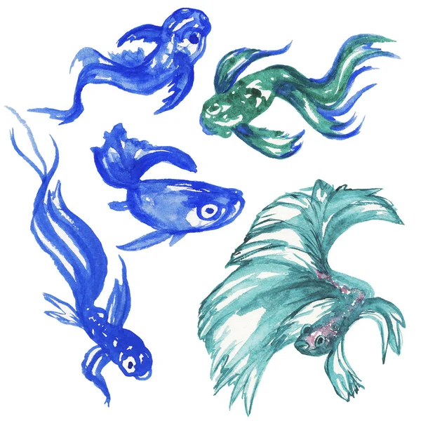 Pesci blu acquerello disegnati a mano. Illustrazione — Foto Stock