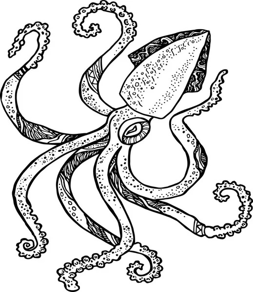 Calamari disegnati a mano. Vettore — Vettoriale Stock