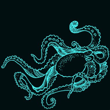 Elle çizilmiş ahtapot. Vektör.