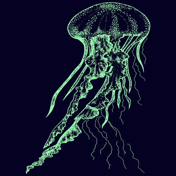 Ручная рисованная медуза выделена на черном фоне. Вектор . — стоковый вектор