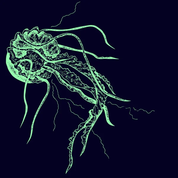 Medusas desenhadas à mão isoladas sobre fundo preto. Vetor . — Vetor de Stock