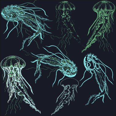 Vektör siyah arka plan üzerine çizilmiş jellyfishes izole el ile ayarla.