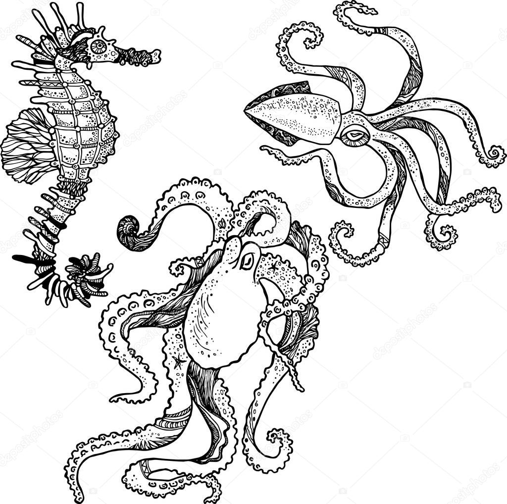 Vector set of hand drawn octopus, squid and seahorse.