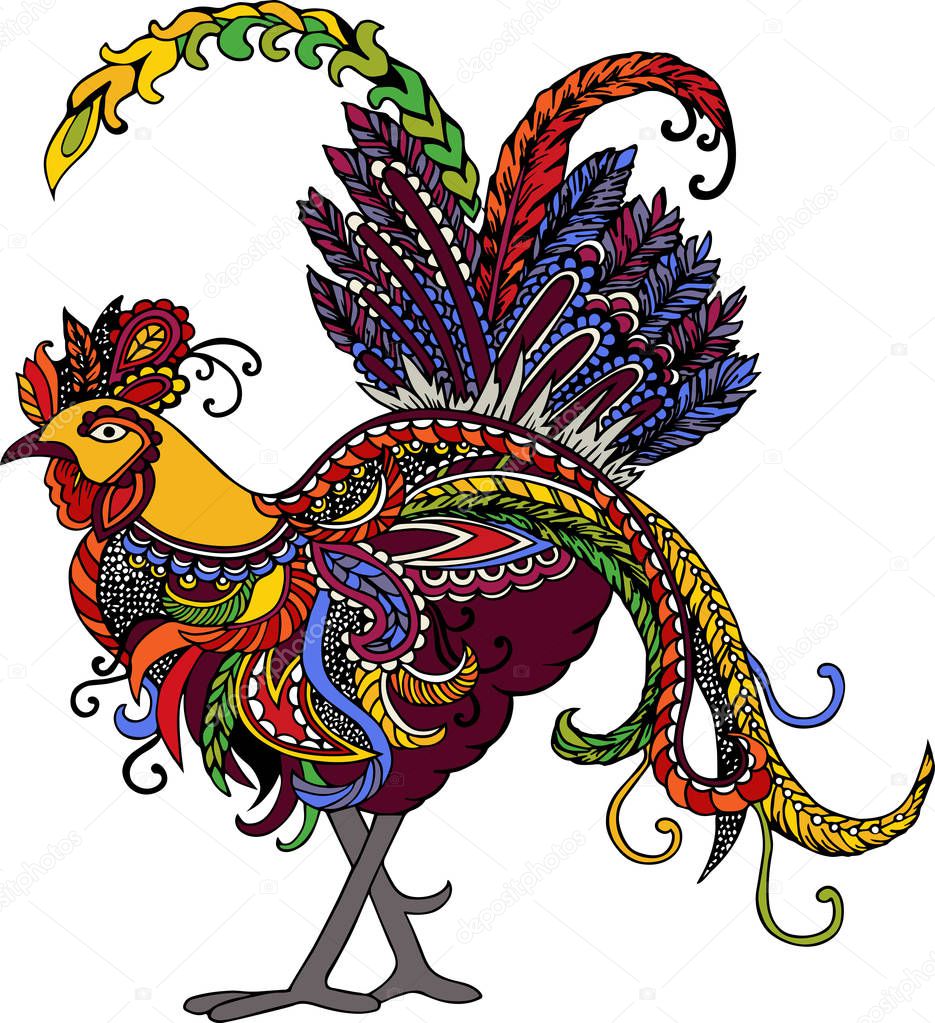 Hand drawn rooster isolated on white background. Vector