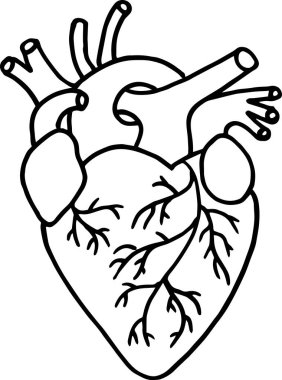 Elle çizilmiş insan kalbi. Vektör.