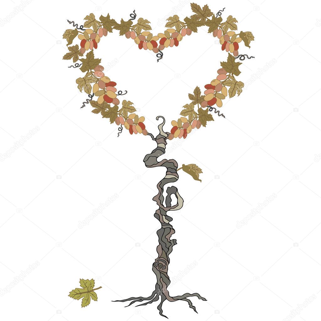 Hand drawn heart tree with grapes. Design element. Isolated on white background. Vector.