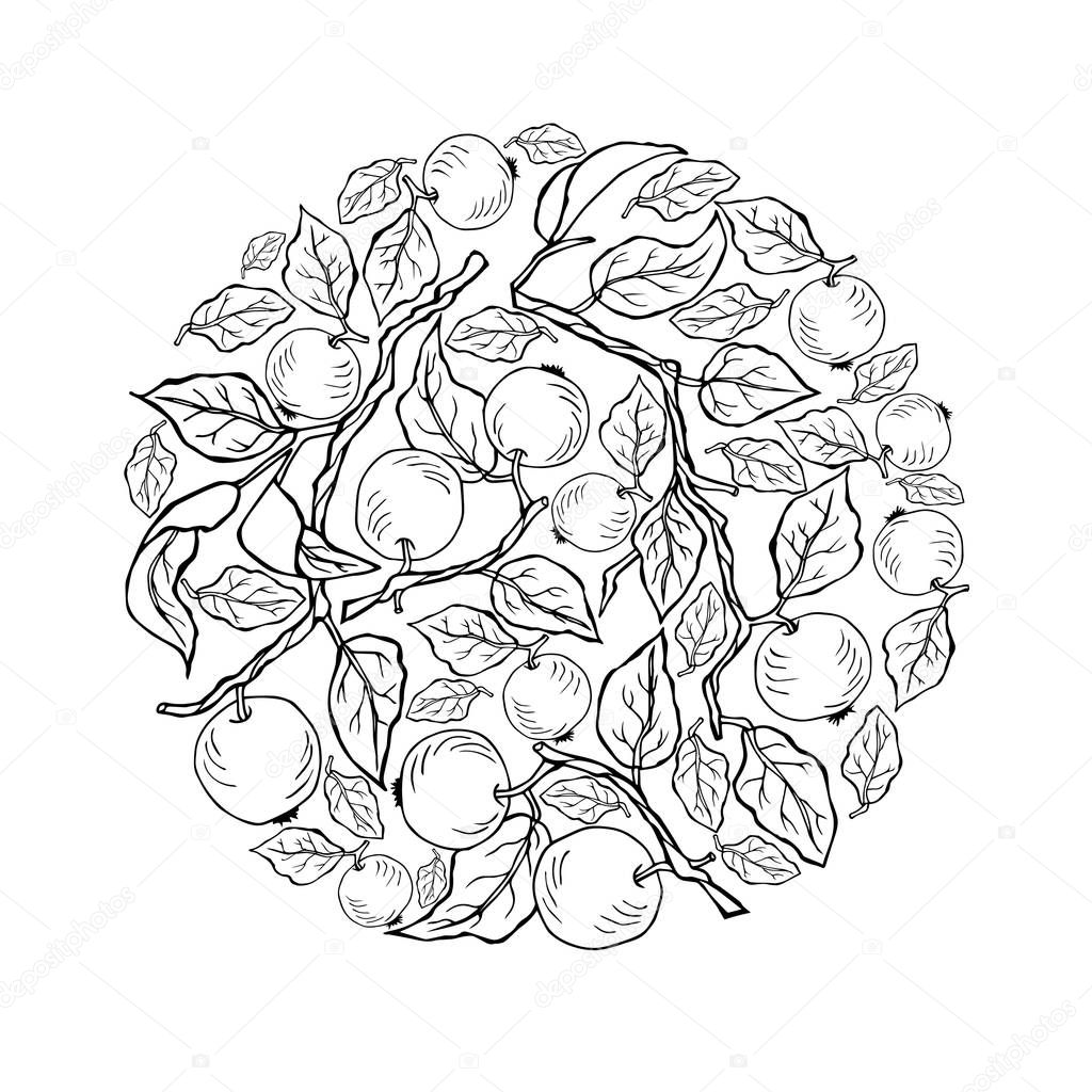 Circle concept with apple tree branches. Vector design element. Isolated on background.
