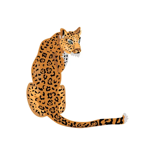 Leopardo Gato Salvaje Para Patrón Diseño Impresión Camiseta Pegatina Ilustración — Archivo Imágenes Vectoriales