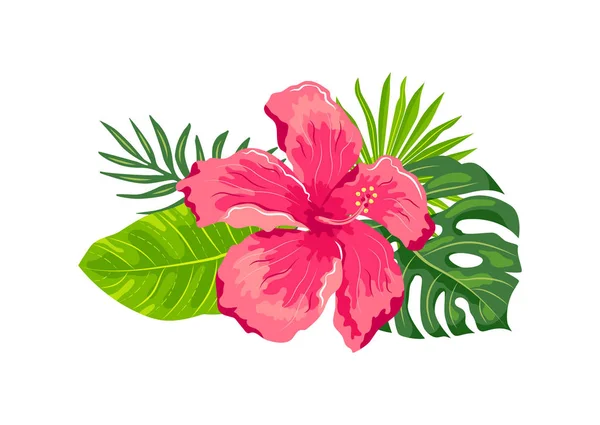 Hojas Exóticas Tropicales Flor Hibisco Ilustración Vectorial Sobre Fondo Blanco — Vector de stock