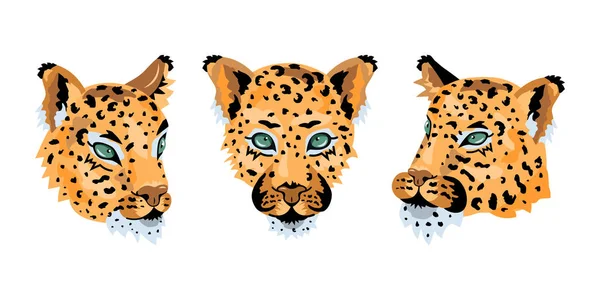 Leopardo Caras Gato Salvaje Conjunto Para Patrón Diseño Impresión Camiseta — Vector de stock