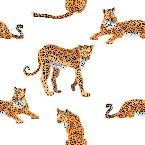 Padrão Sem Costura Leopardos Ilustração Vetorial —  Vetores de Stock