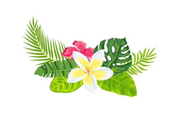 Hojas Exóticas Tropicales Hibisco Flores Plomería Ilustración Vectorial Aislada Sobre — Vector de stock