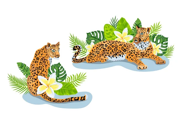 Leopardos Jaguar Con Hojas Tropicales Plumeria Flor Exótica Diseño Para — Vector de stock