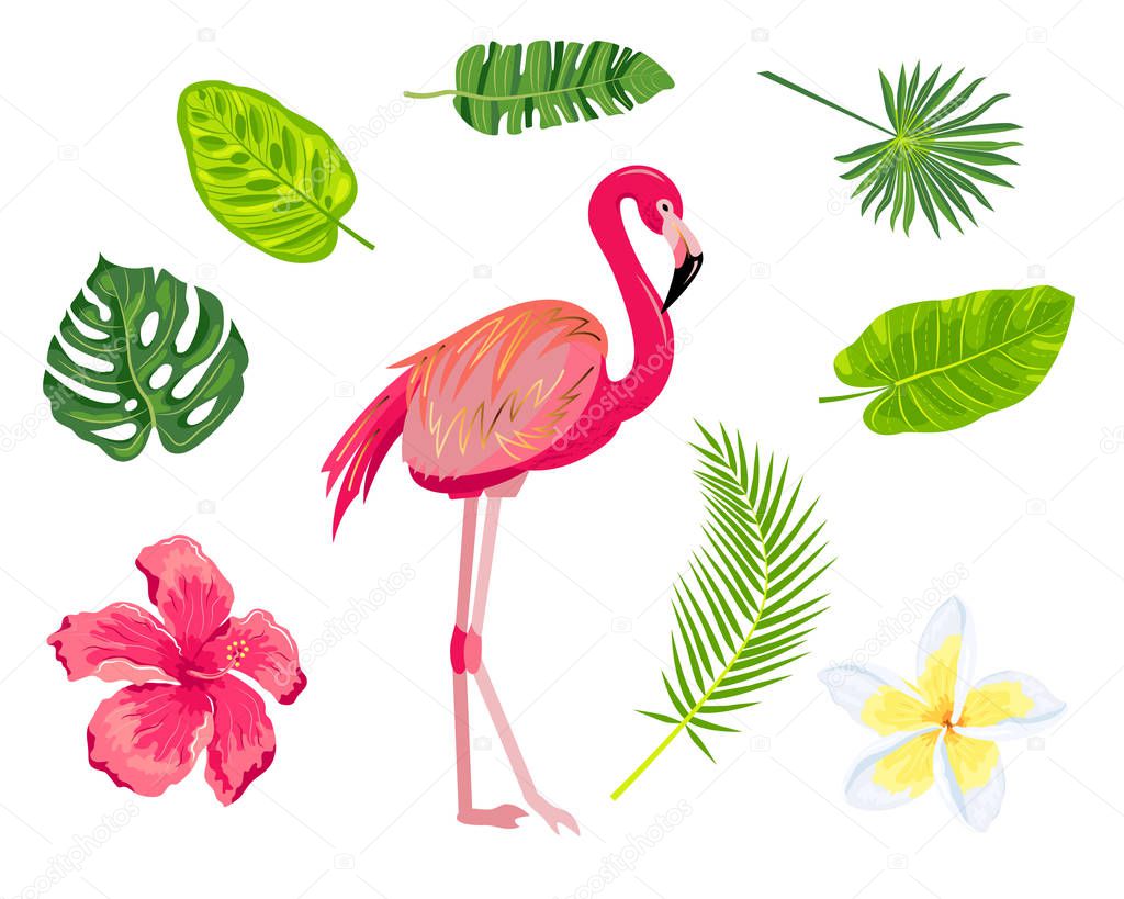 Flamingo, tropical leaves, plumeria, exotic flower, hibiscus set.