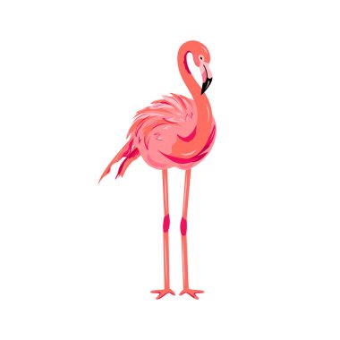 Pembe flamingo vektör çizim. Beyaz arka plan üzerinde izole tasarım öğesi.