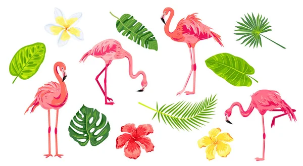 Pink Flamingos Tropical Leaves Flowers Set Vector Illustration Design Elements — Stok Vektör