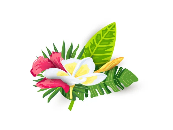 Tropical Exotic Leaves Hibiscus Plumeria Flowers Vector Illustration Isolated White — Stock Vector