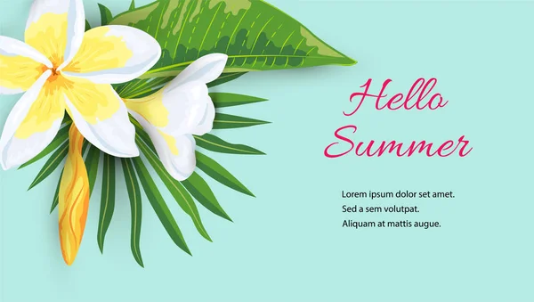 Folhas Selva Com Plumeria Flores Tropicais Olá Banner Verão Lugar — Vetor de Stock