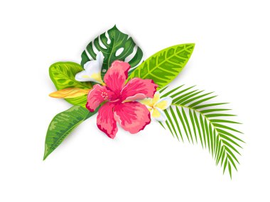 Tropikal egzotik yapraklar, amber çiçeği ve plumeria çiçekleri, beyaz arka planda izole edilmiş vektör çizimi. Poster, web, el ilanları, davetiye, kartpostal, tişört, kaplıca, çıkartma için tasarım ögesi.