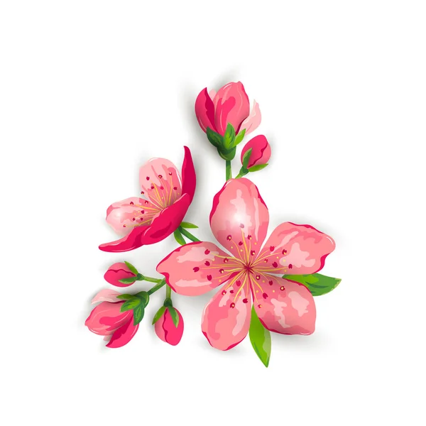 桜の花のベクトルイラスト 白を基調としたデザイン要素 — ストックベクタ
