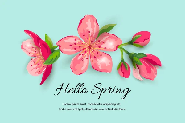 Hello Spring Banner Blossom Sakura Cherry Flowers Place Text Great — ストックベクタ